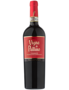 Vigna di Pallino Chianti DOCG Tenuta Sette Ponti