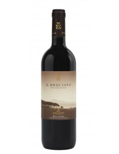 IL BRUCIATO BOLGHERI DOC 2022 TENUTA GUADO AL TASSO CASSA...