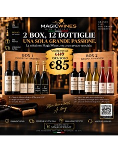 Box Magicwines 12 Bottiglie