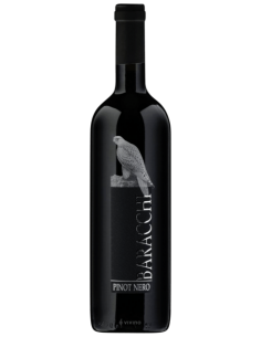 Pinot Nero Igt Toscana Rosso 2016 - Baracchi